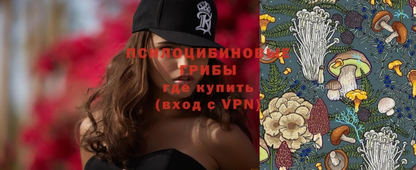 таблы Белокуриха