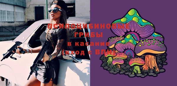 таблы Белокуриха
