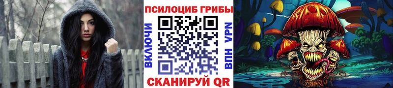 кракен рабочий сайт  Вышний Волочёк  Псилоцибиновые грибы Psilocybine cubensis 